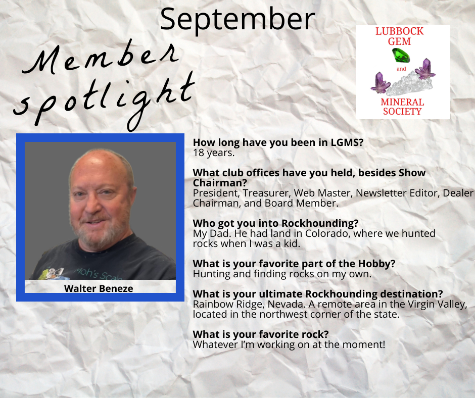 September_spotlight.jpeg
