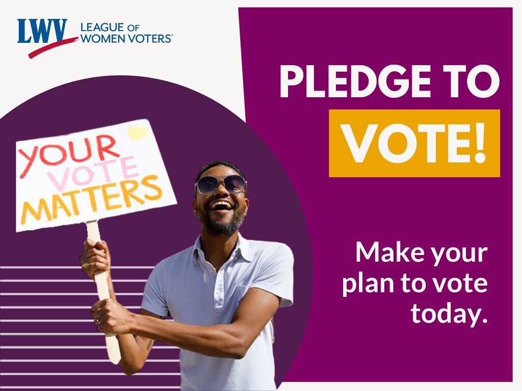 make a plan to vote