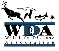 WDA_Logo.png