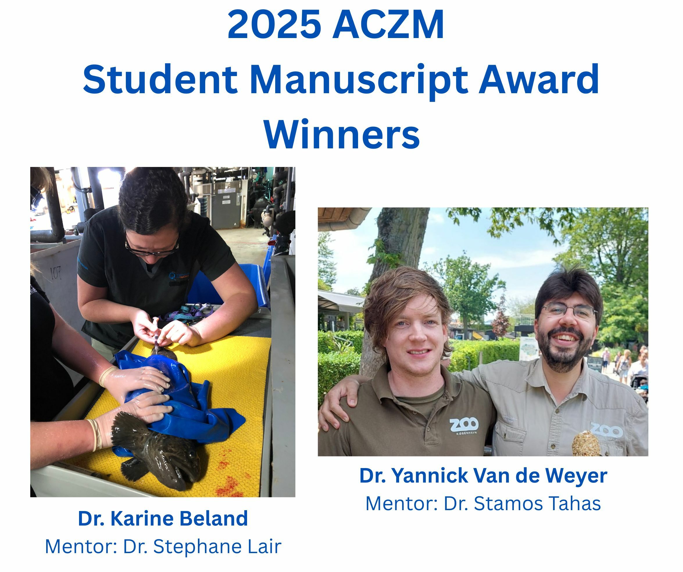 2025 Student Manuscript Award 2