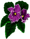 Elizabeth-Paschol.jpg
