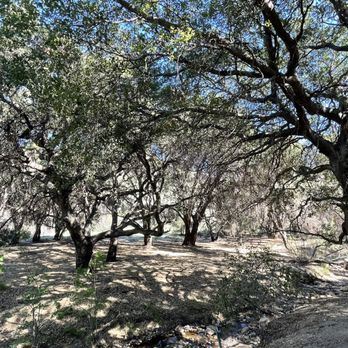 Aliso Canyon Park