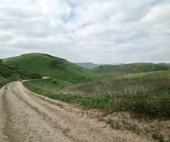 Greenbriar Trailhead