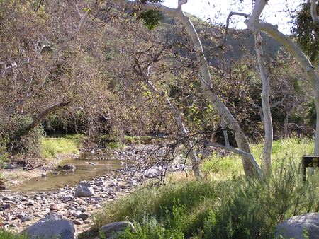 Placerita Canyon