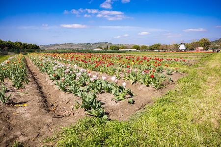 Underwood Farms