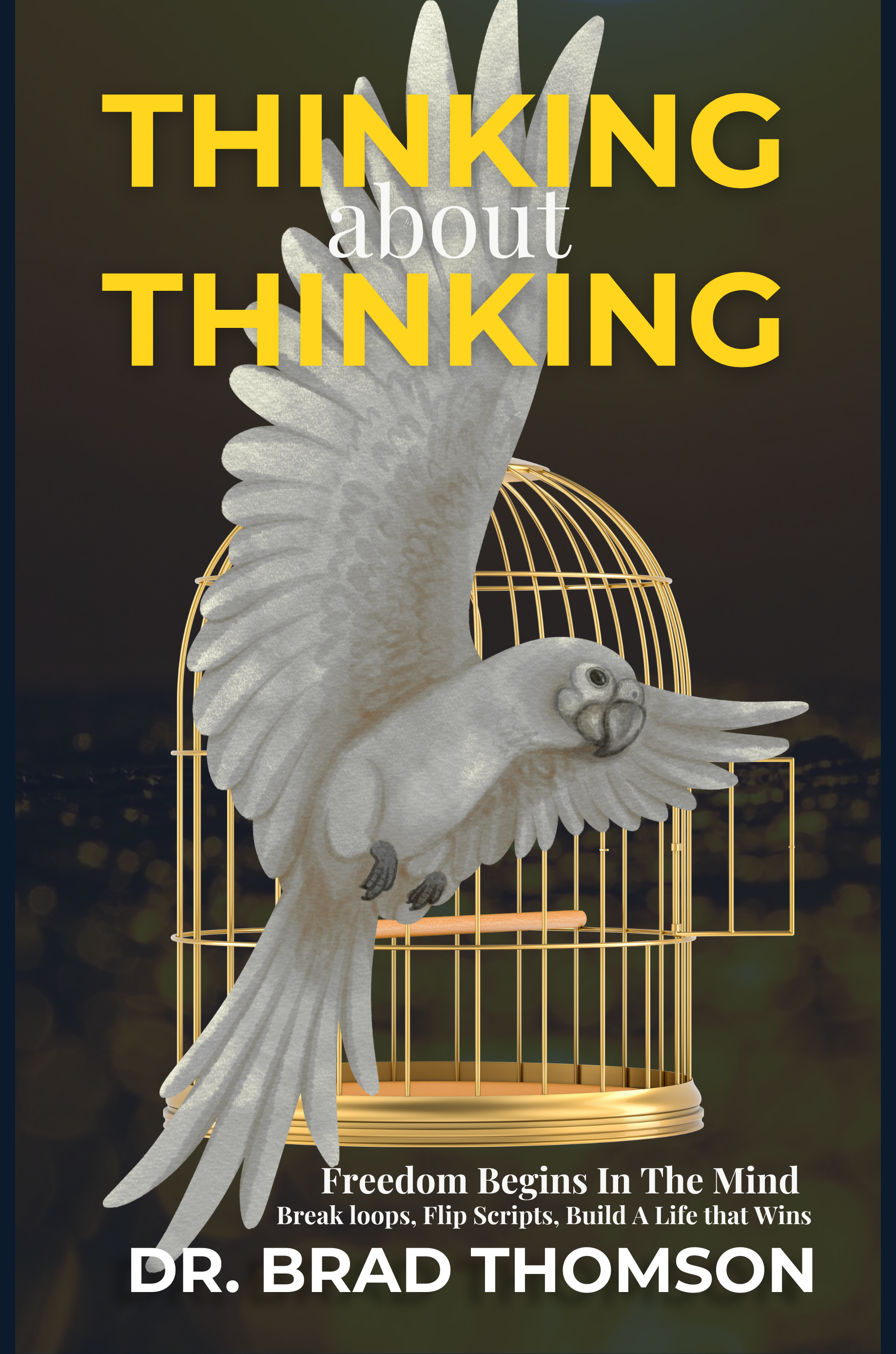 https://www.amazon.com/dp/B0FT8SF8C4/ref=sr_1_1?dib=eyJ2IjoiMSJ9.db5Sh972ExzUp5wvS9uKew.kWgHWj-ZHmw1MnL6aPxgwHkKgyB6FUuALfWLoQr1lfg&dib_tag=se&keywords=Dr+Bradley+G+Thomson+-+Thinking+about+Thinking&qid=1759271884&sr=8-1