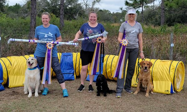 PMP Agility Trial Champions - 02/28/26