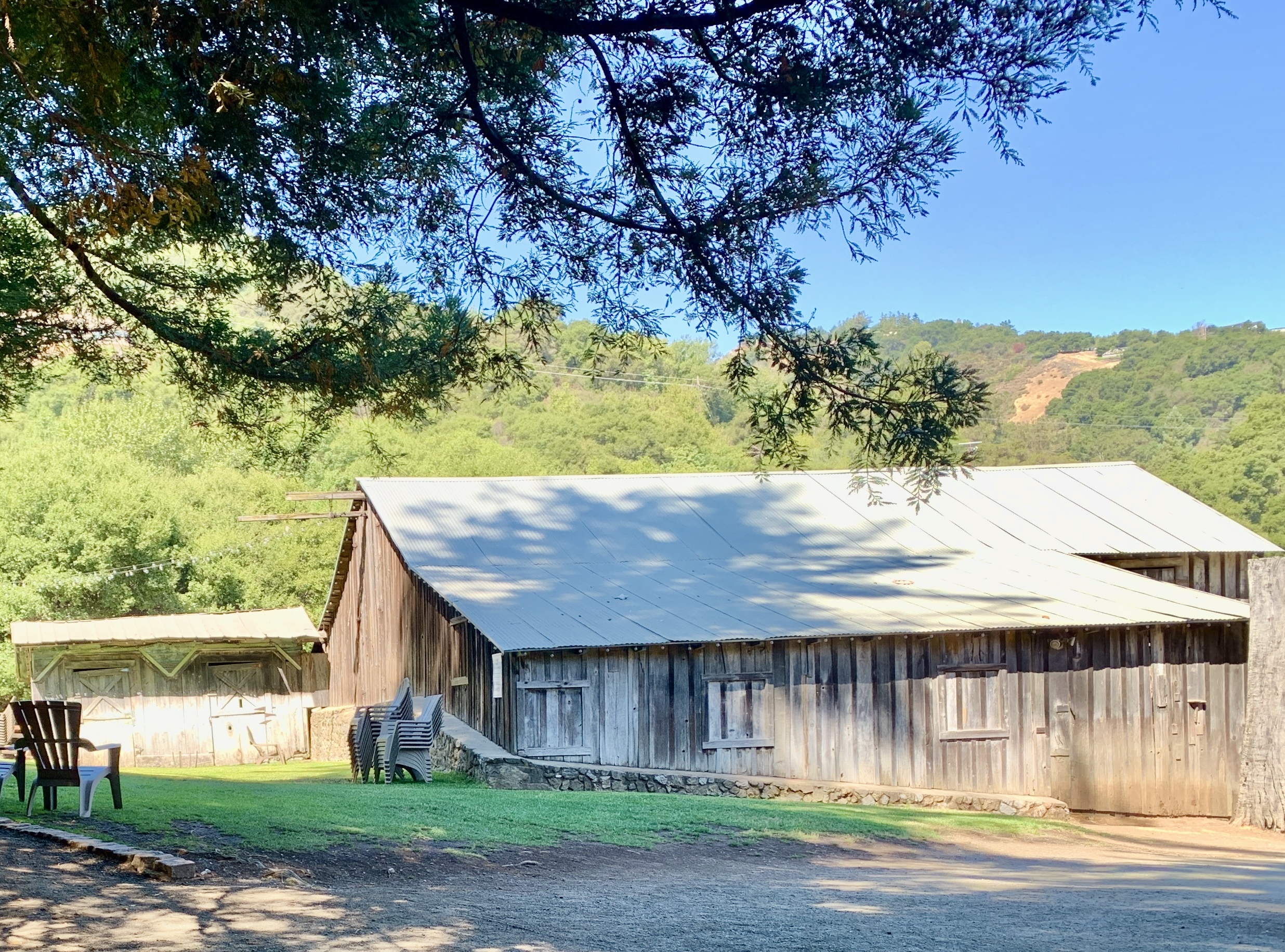 Photo - Picchetti Winery