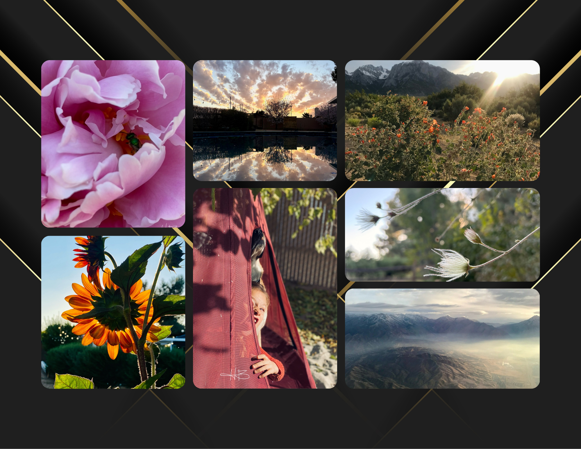 Featured Artist Heidi 4