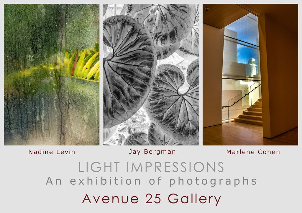 MbrInNews 2025_09 Levin Mandelartz-Cohen Avenue 25-2.jpg