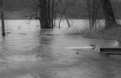 MbrInNews 2025_09 Schickli Awash.jpg