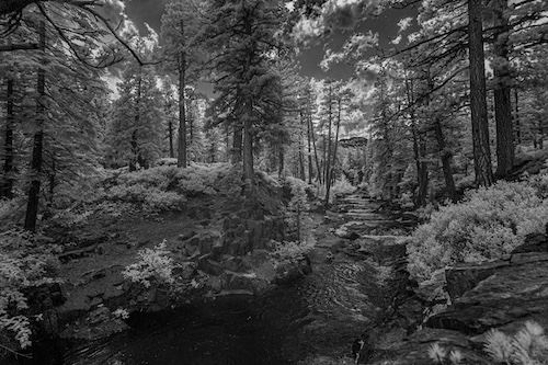 MbrInNews 2025_09 Schickli Creek.jpg