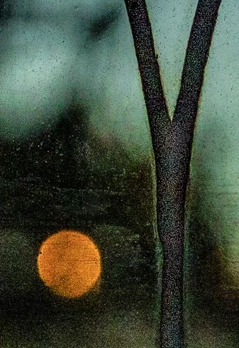 MbrInNews 2025_10 Levin Glass.jpg