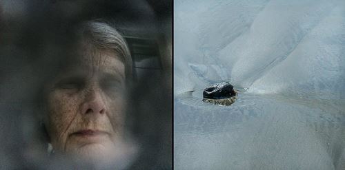 MbrInNews 2025_10 Levin Isolated.jpg