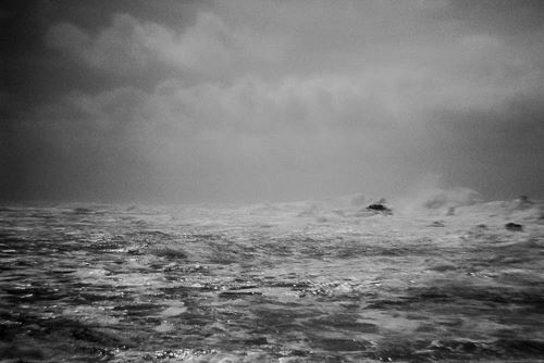 MbrInNews 2025_10 Levin Storm.jpg