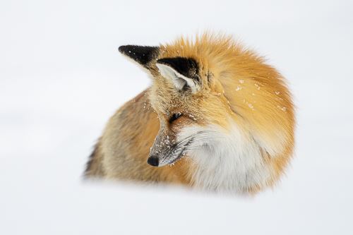 MbrInNews 2025_11 Hallee Reynard.jpg