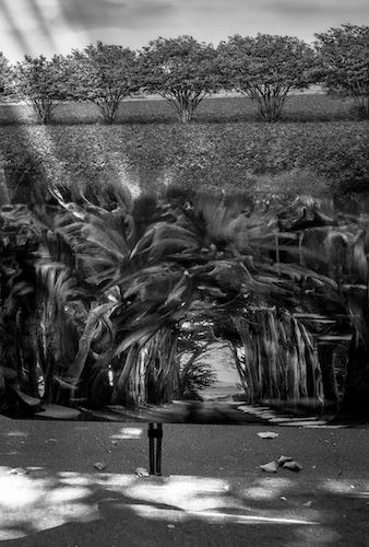 MbrInNews 2025_12 Schickli Underworld.jpg