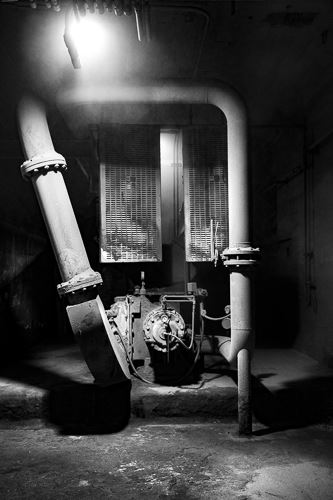 MbrInNews 2026_01 Ely Uncommon Beauty.jpg