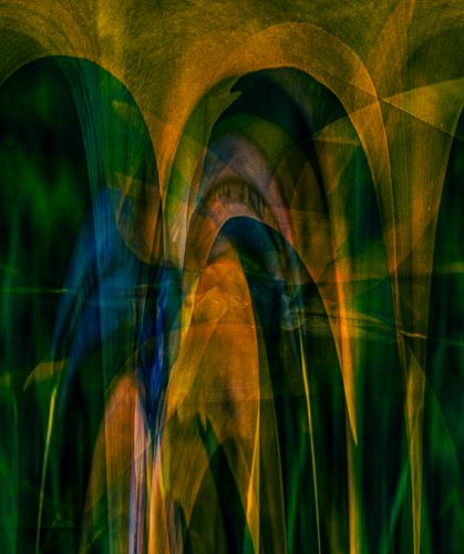 MbrInNews 2026_01 Levin Curves.jpg