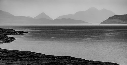 MbrInNews 2026_01 Levin Silence.jpg