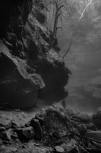 MbrInNews 2026_01 Schickli Cedar Falls