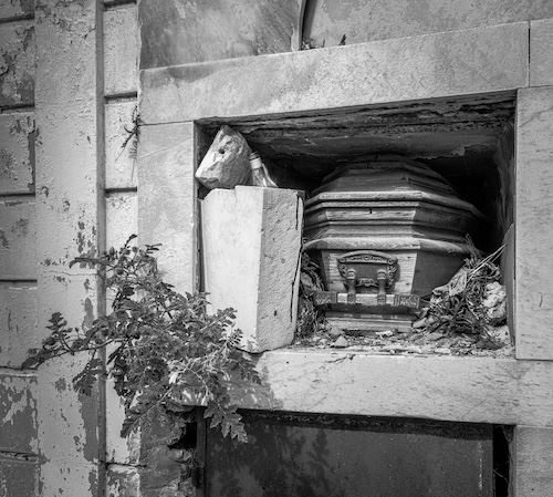 MbrInNews 2026_02 Schickli Decanted.jpg