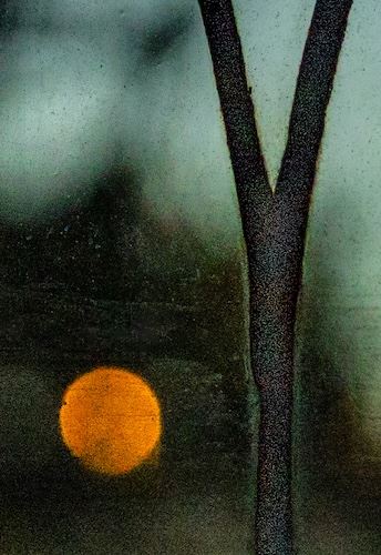 MbrInNews 2026_03 Levin Fallen Moon.jpg