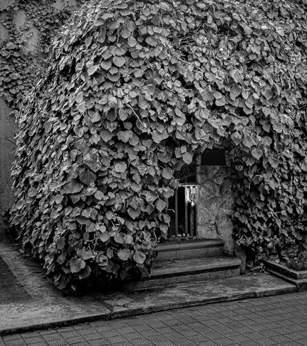 MbrInNews 2026_03 Schickli Gatekeeper.jpg