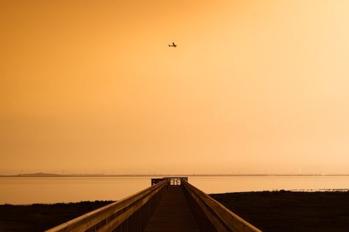 MbrInNews 2026_03 Stevens Orange Sky.jpg