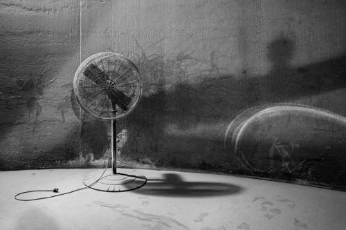 MbrInNews 2026_04 Ely Artifact.jpg