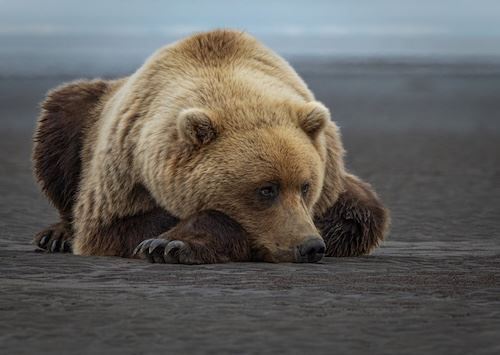 MbrInNews 2026_04 Erdberg Breakfast.jpg