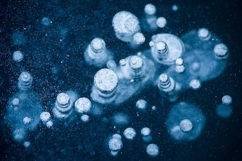 MbrInNews 2026_04 Hallee Frozen.jpg