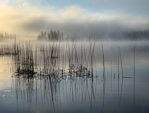 MbrInNews 2026_09 Kramer Fog.jpg
