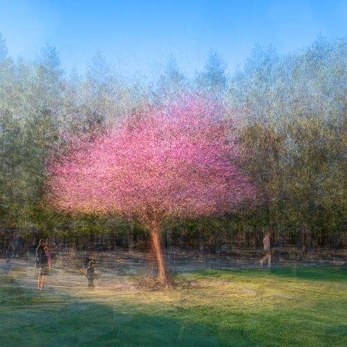 MbrInNews 2026_10 Harris Springtime