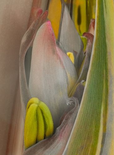 MbrInNews 2026_10 Schickli Lily.jpg