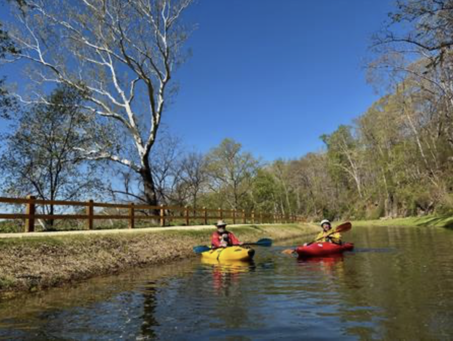C_O_Canal_2026-04-08_