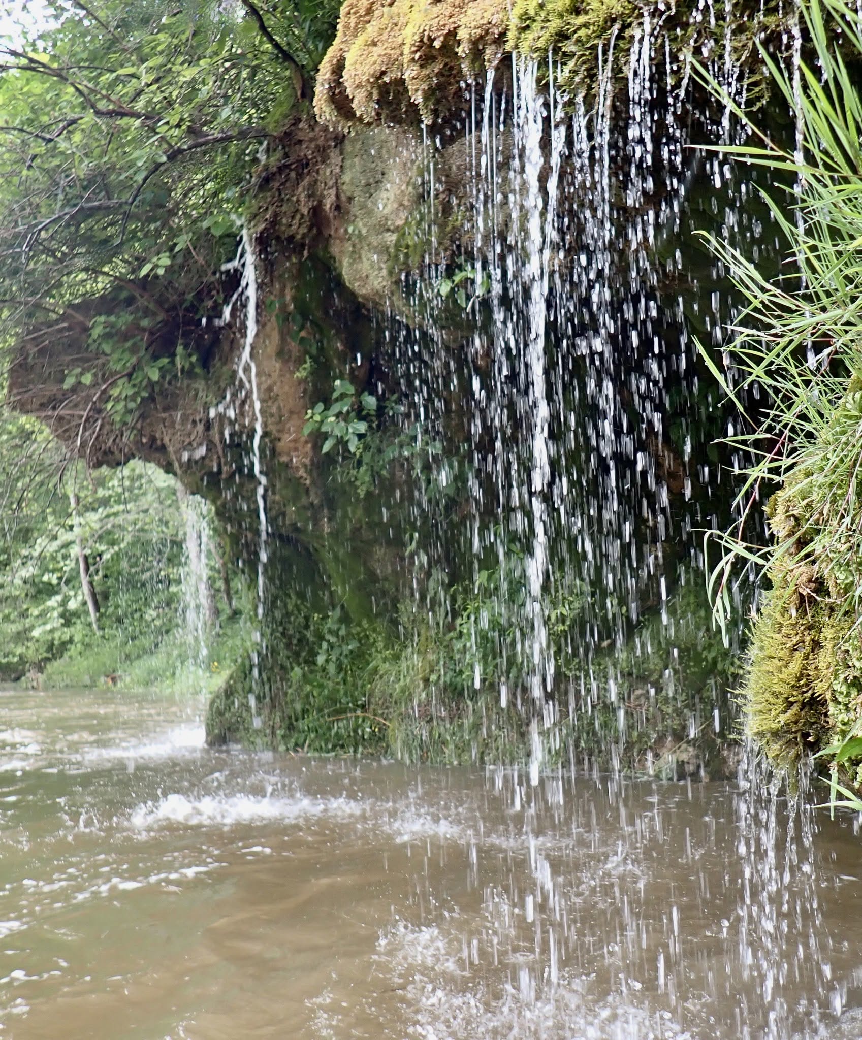 Cacapon jungle shower