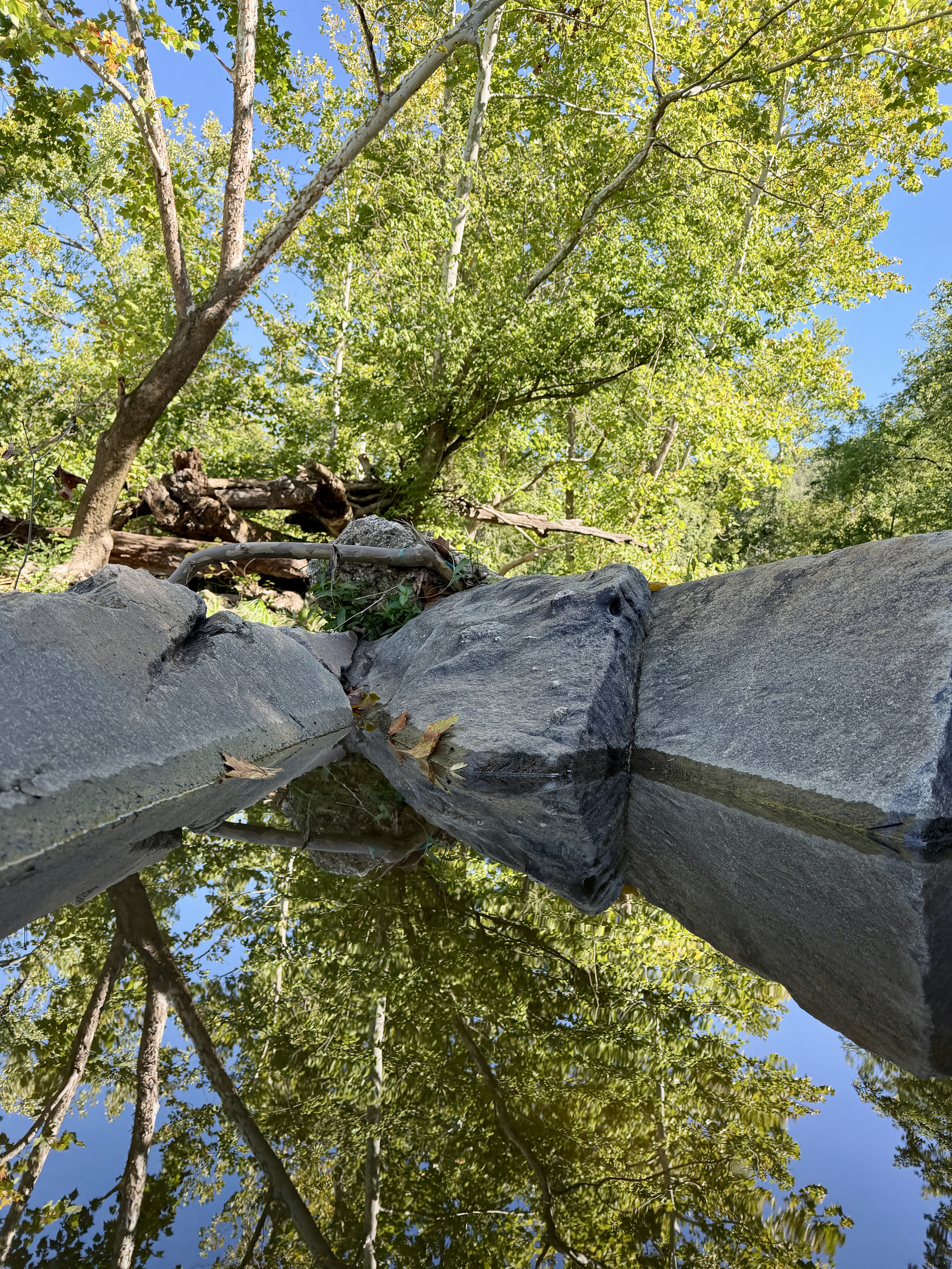 Reflections near Little Falls