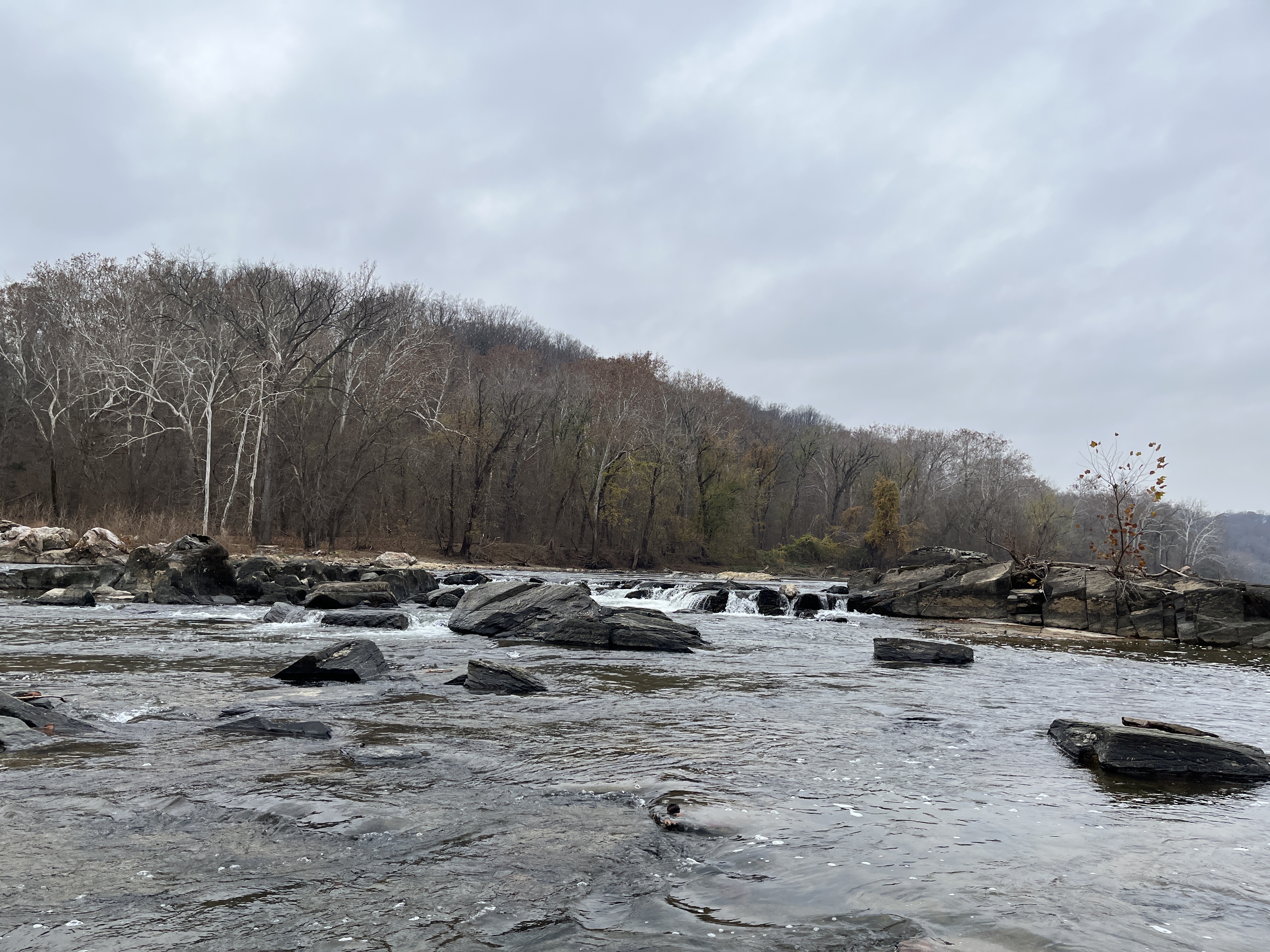 Yellow Falls at low level