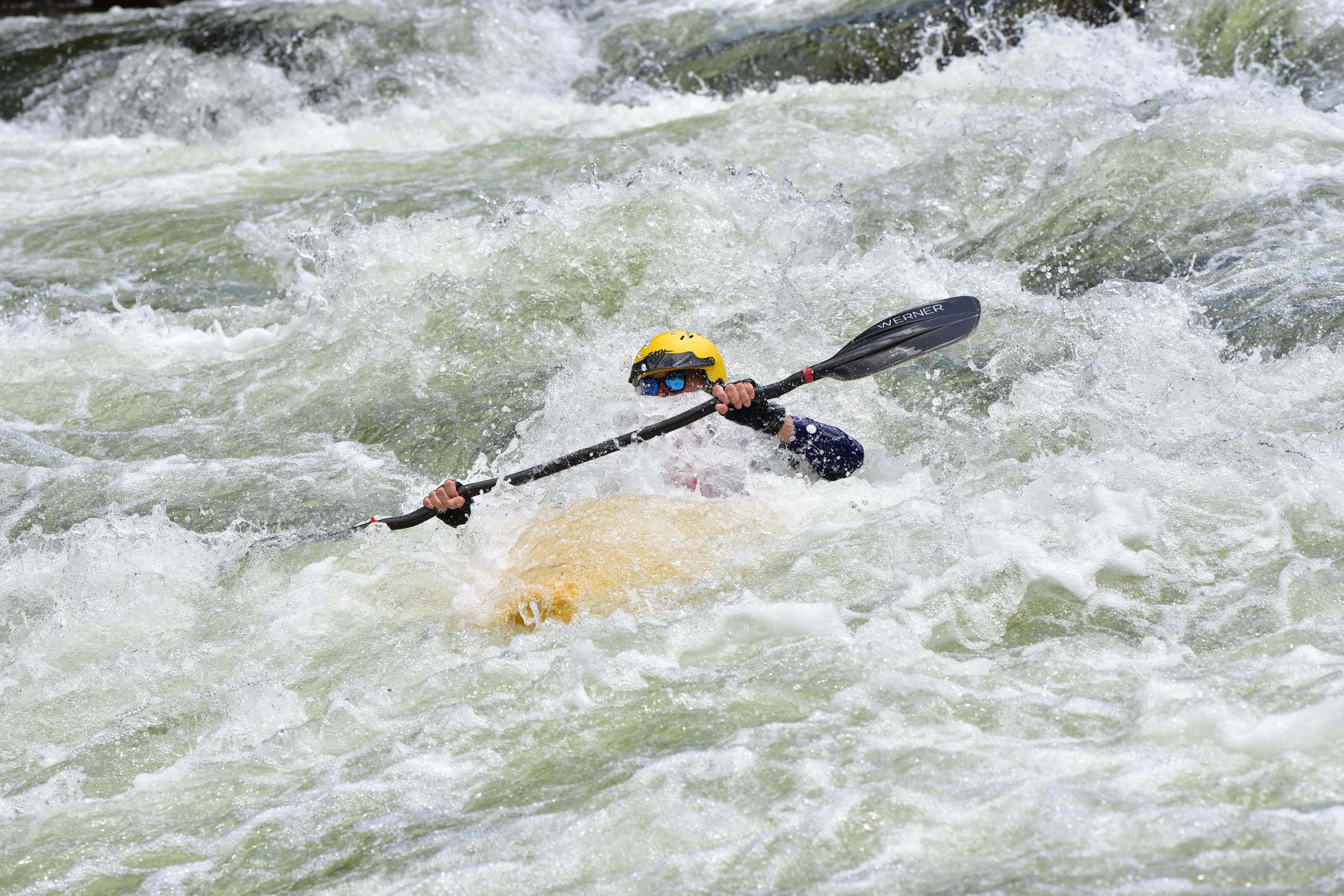 Cucumber on the Lower Yough
