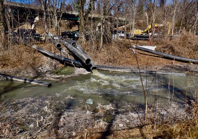 Potomac Interceptor Sewage Spill