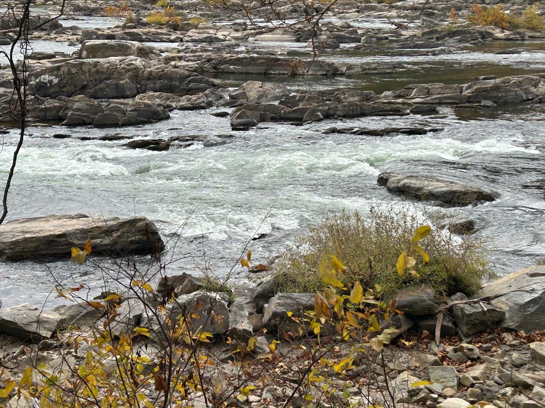 Whitehorse Rapid at low level
