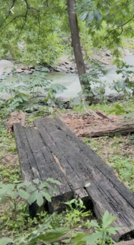 Wood from Z Channel