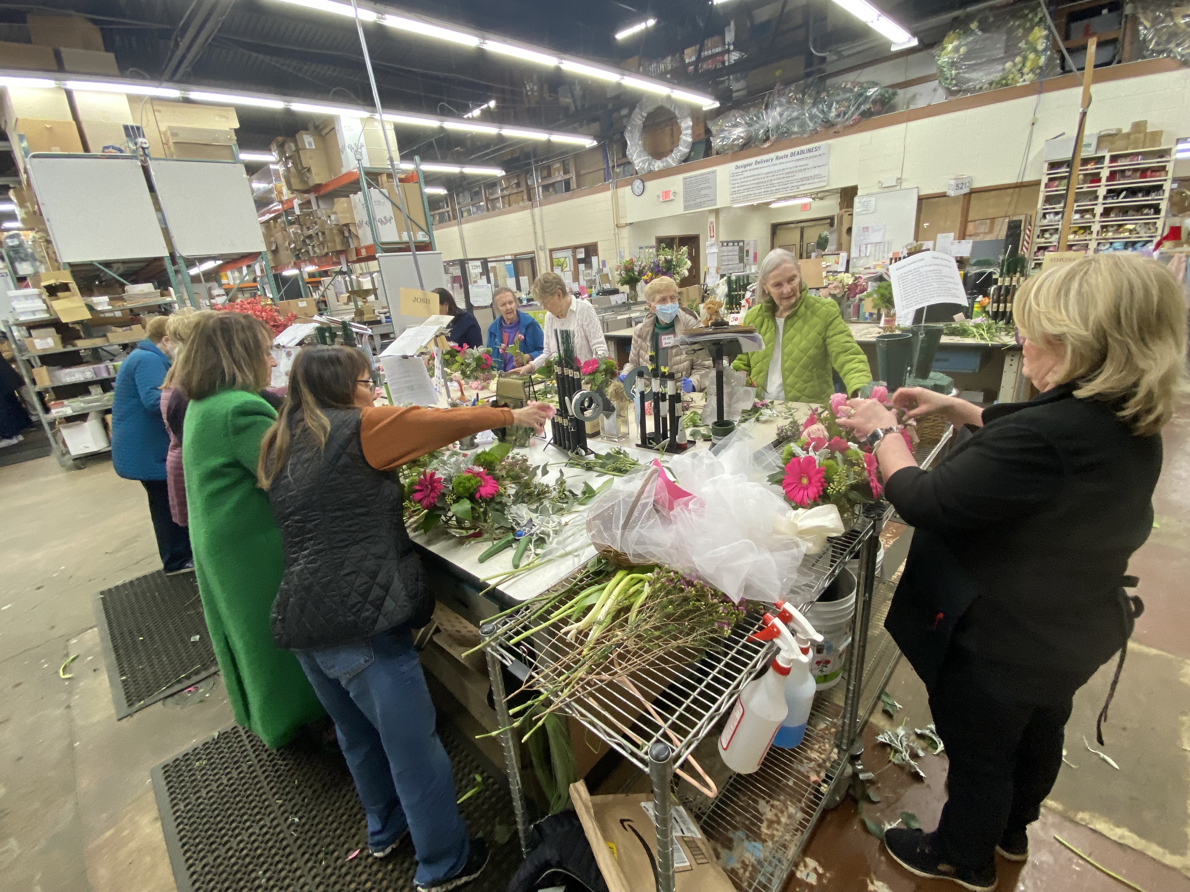 March Phillips photo 4