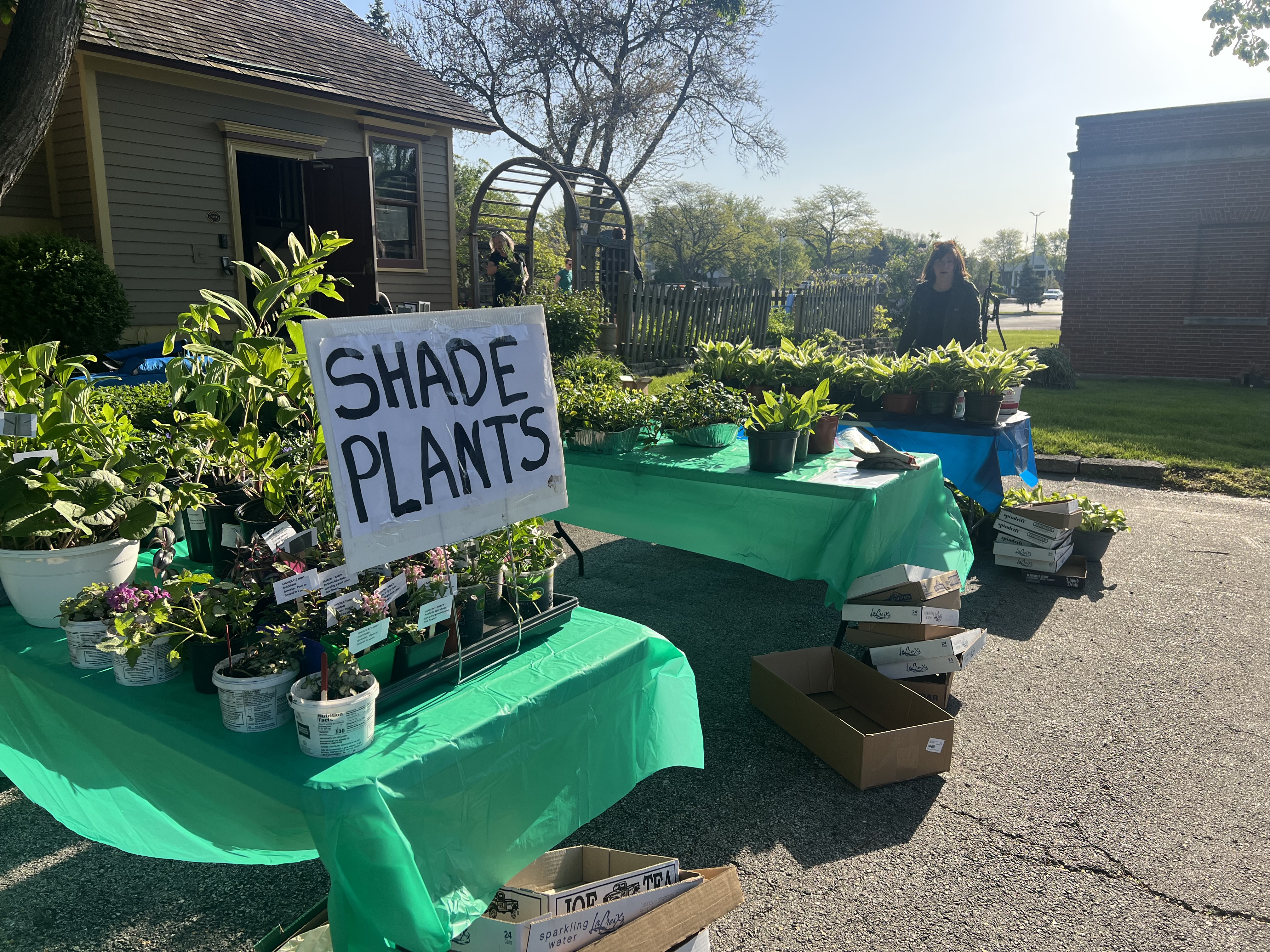 2025 Plant Sale 1