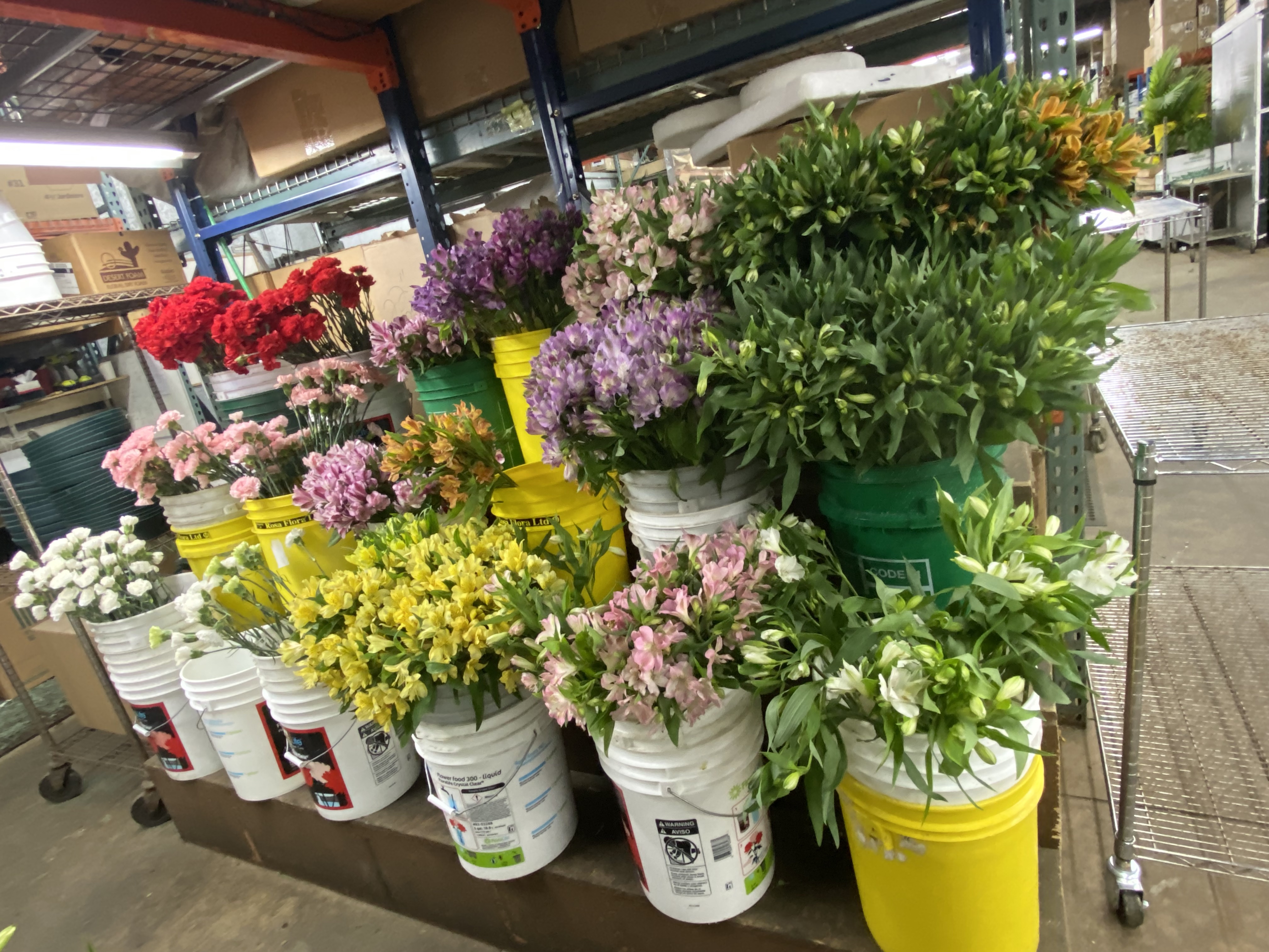 March Phillips photo 4