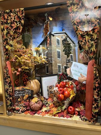 Hinsdale Library Window