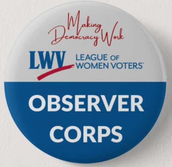 Observer Corps Pin