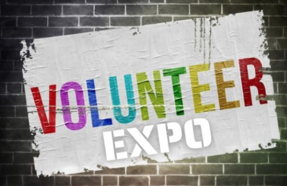 Volunteer Expo Logo