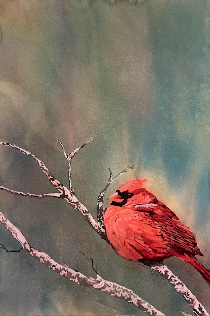 ReneeWrenwoodCardinal